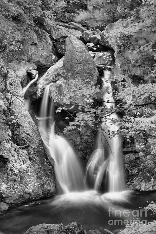 Bash Bish Falls Fall Portrait Black And White Photograph by Adam Jewell