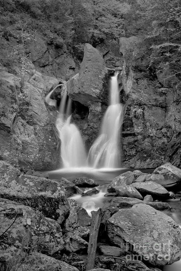 Bash Bish Falls State Park Black And White Photograph by Adam Jewell