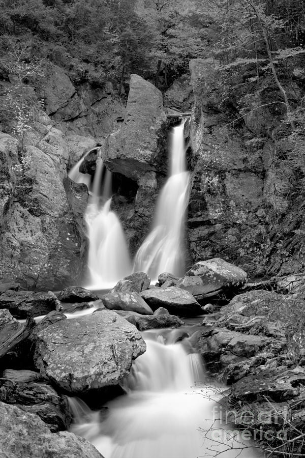 Bash Bish Falls Stream Black And White Photograph by Adam Jewell