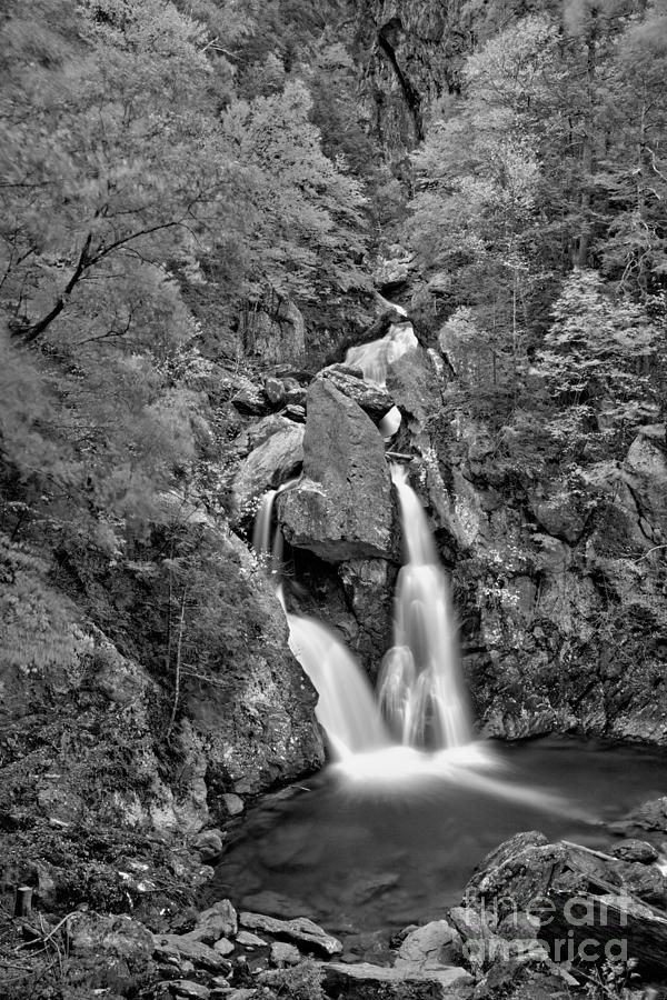 Bash Bish State Park Fall Foliage Black And White Photograph by Adam Jewell