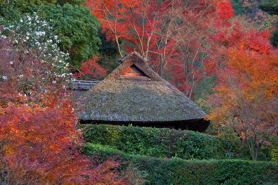 Bashos Cottage At Konpukuji Temple Photograph by B. Tanaka