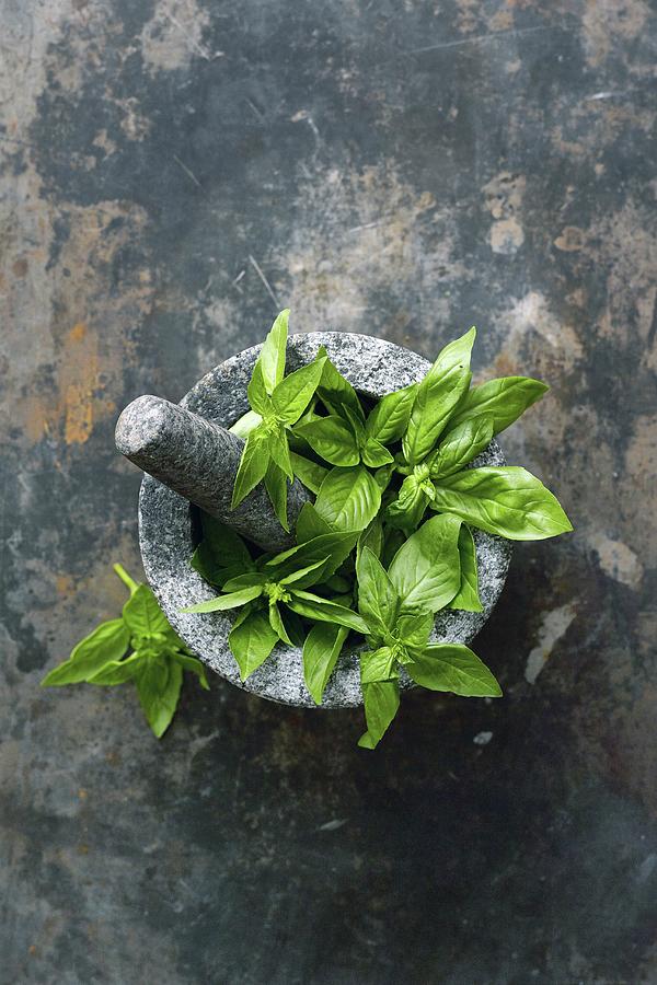 Basil Leaves In A Mortar Photograph by Yehia Asem El Alaily