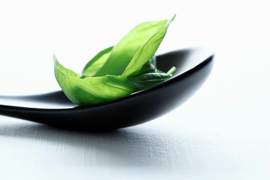 Basil Leaves On A Black Spoon Photograph by Mona Binner Photographie