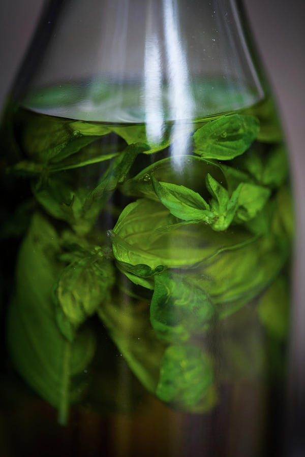 Basil Oil In A Glass Bottle Photograph by Eising Studio