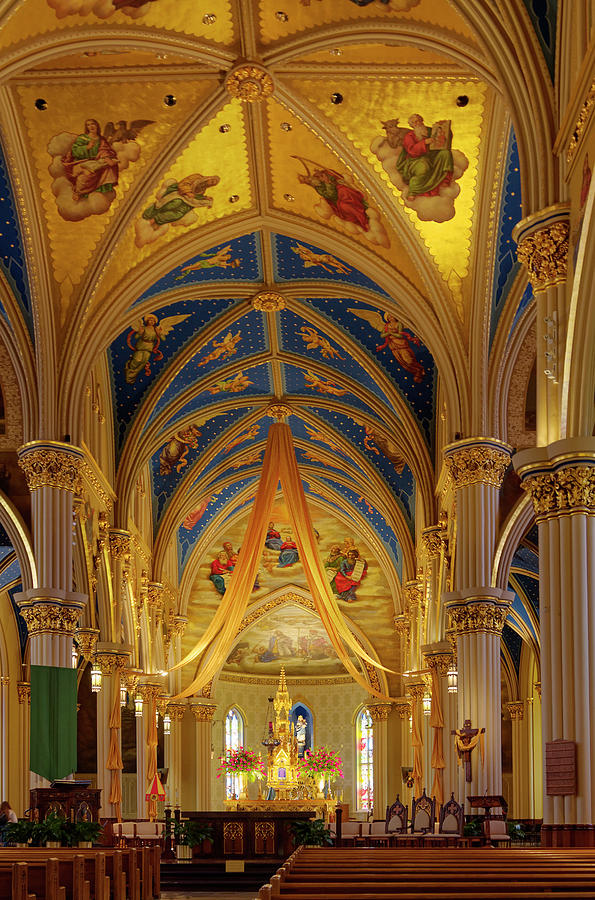 Basilica of the Sacred Heart Photograph by Sally Weigand