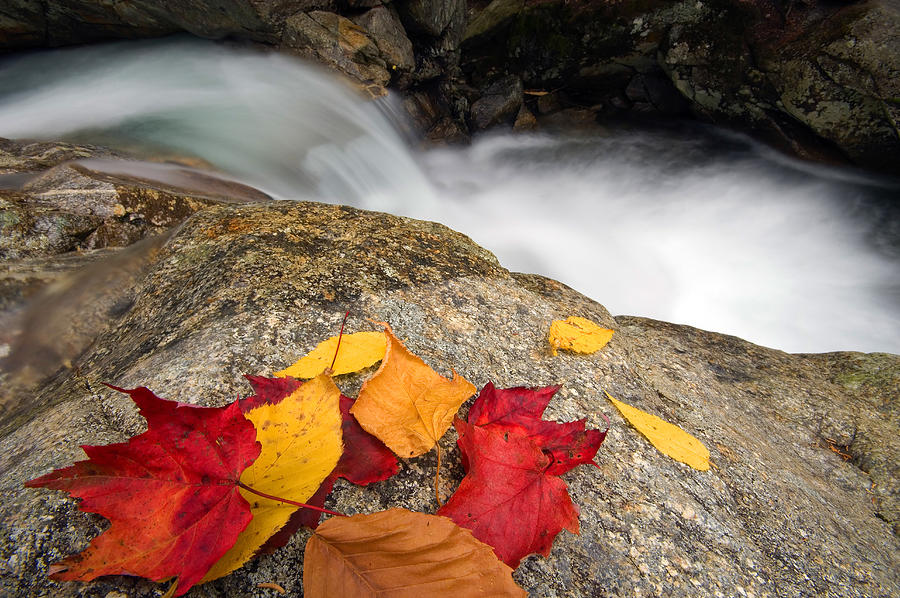 Fall Digital Art - Basin Waterfall, New Hampshire by Franco Cogoli