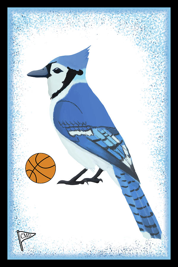 Basketball Blue Jay Digital Art By College Mascot Designs