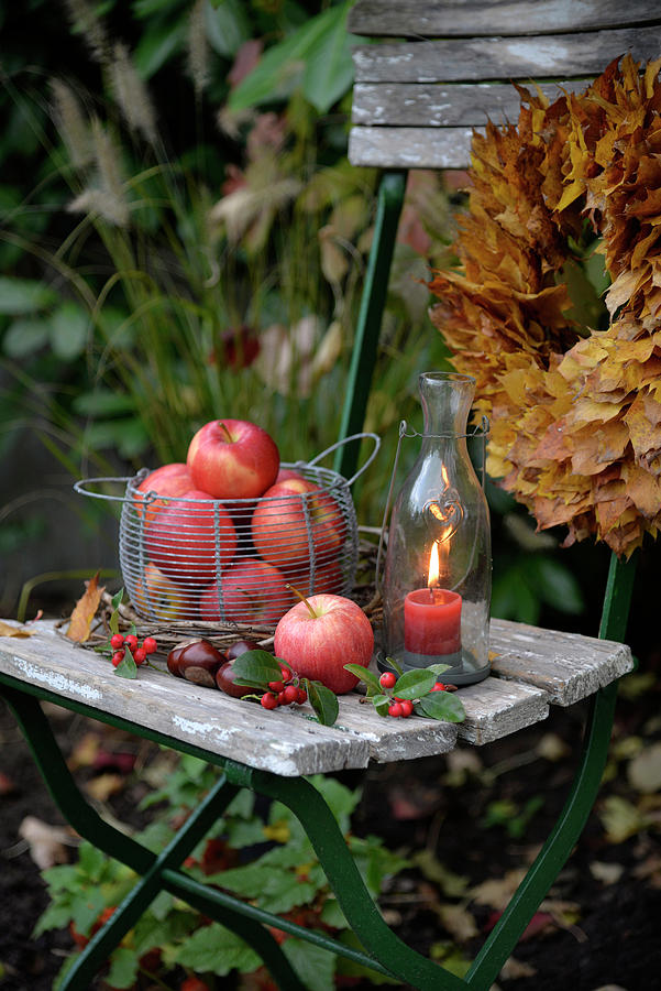 Basket Of Apples And Candle Lantern On Old Garden Chair Photograph by Daniela Behr