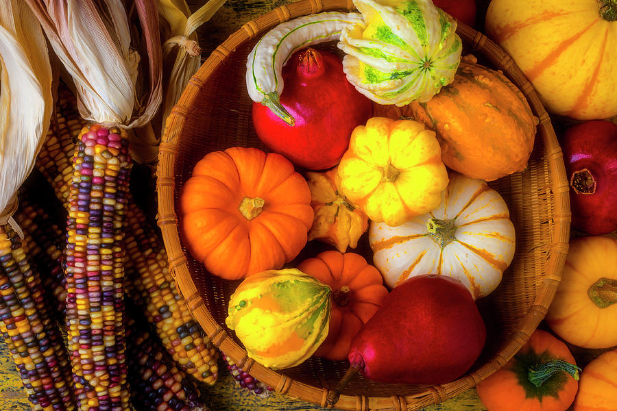 Basket Of Autumn Fruits And Gourds Photograph by Garry Gay