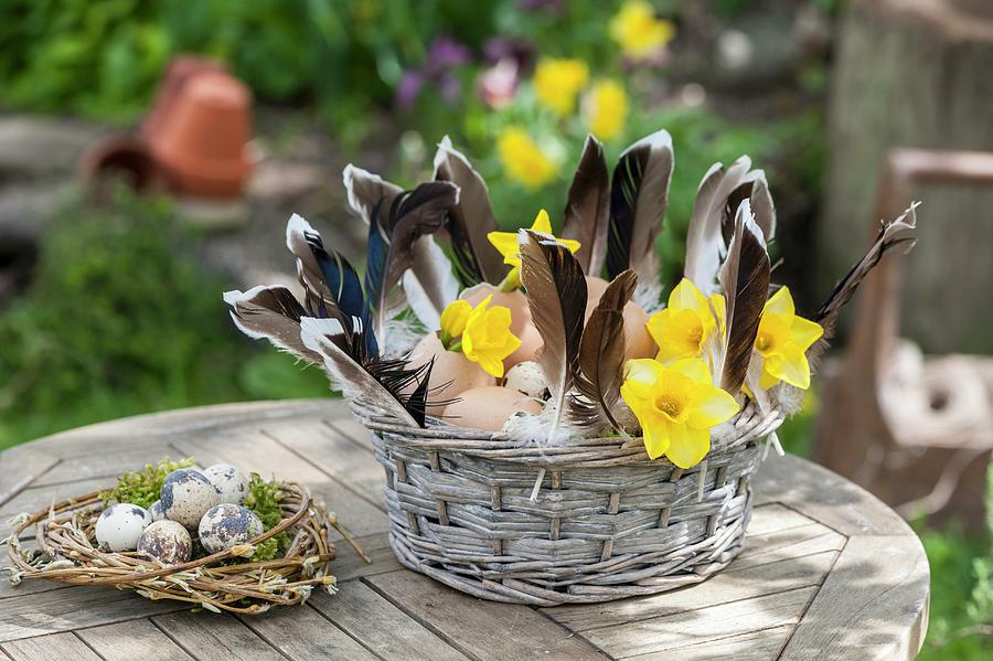 Basket Of Eggs, Feathers And Yellow Narcissus Next To Easter Nest Of Quail Eggs On Garden Table Photograph by Piru-pictures