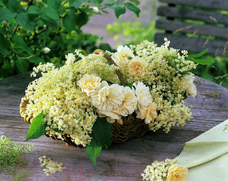 Basket Of Elderflowers And Roses Photograph by Strauss, Friedrich