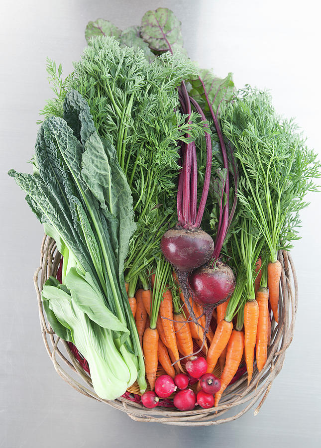 Basket Of Fresh Vegetables Photograph by Laurie Castelli