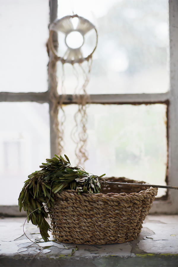 Basket Of Herbs On Windowsill Below Dreamcatcher Photograph by Alicja Koll