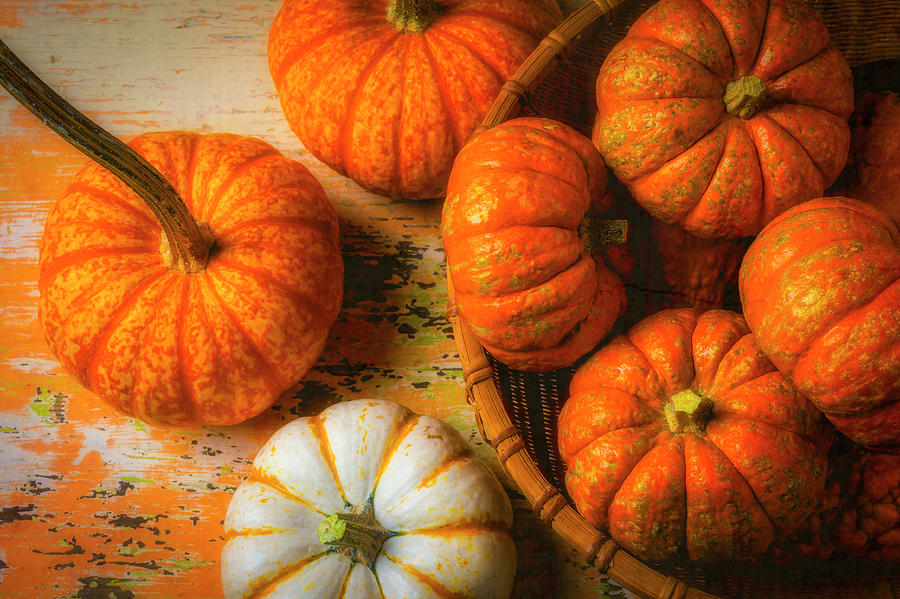 Basket Of Small Orange Pumpkins Photograph by Garry Gay