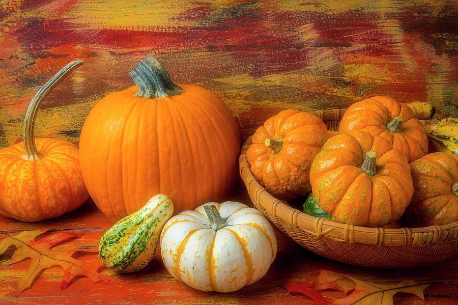 Basket Of Small pumpkins Photograph by Garry Gay