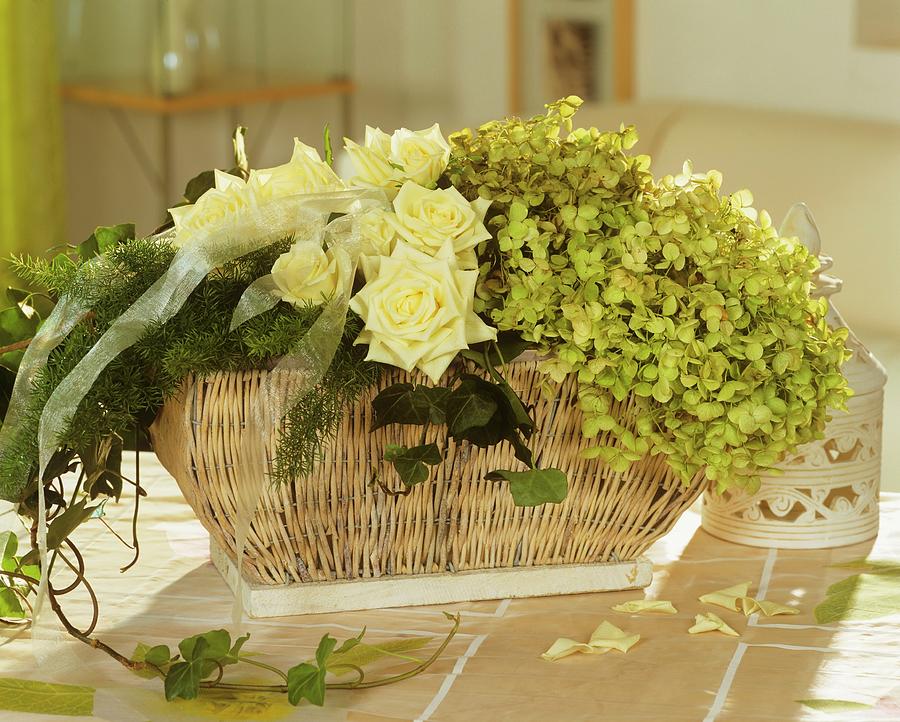 Basket Of White Roses, Asparagus And Hydrangeas Photograph by Friedrich Strauss