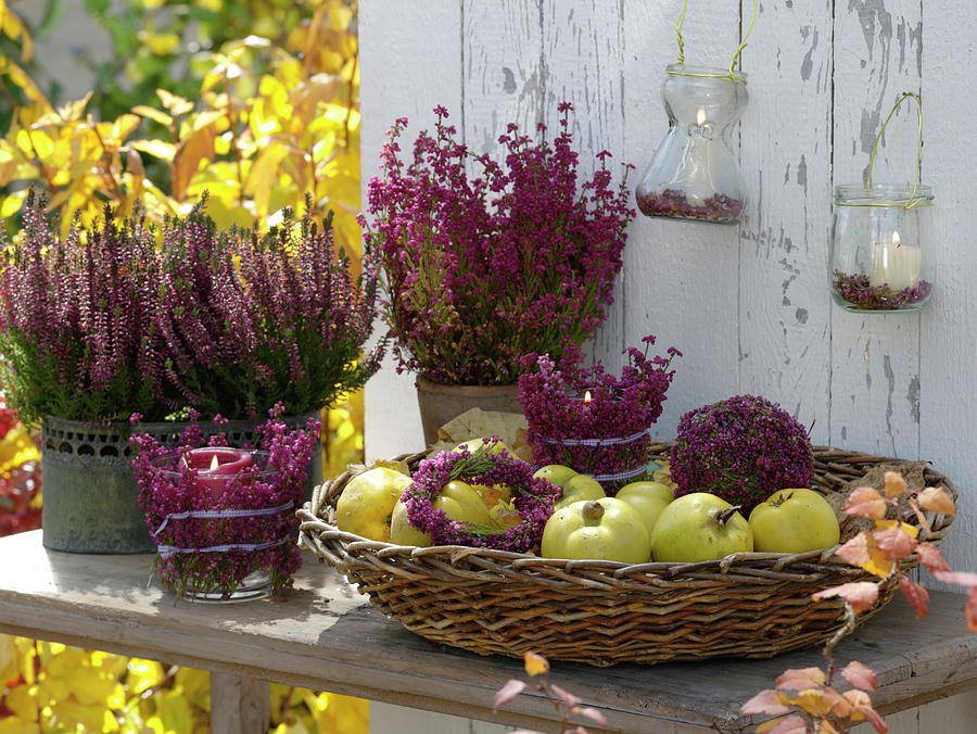 Basket With Quinces, Lanterns, Ball, Wreath Made With Erika Photograph by Friedrich Strauss