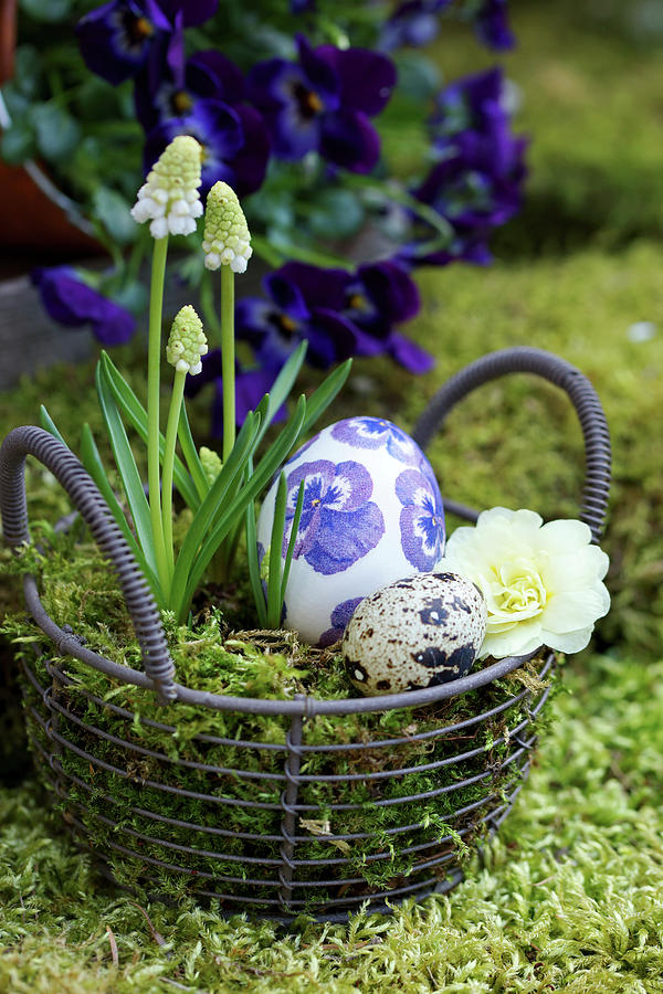 Basket With White Grape Hyacinth, Primrose Blossom And Easter Eggs As An Easter Basket Photograph by Angelica Linnhoff