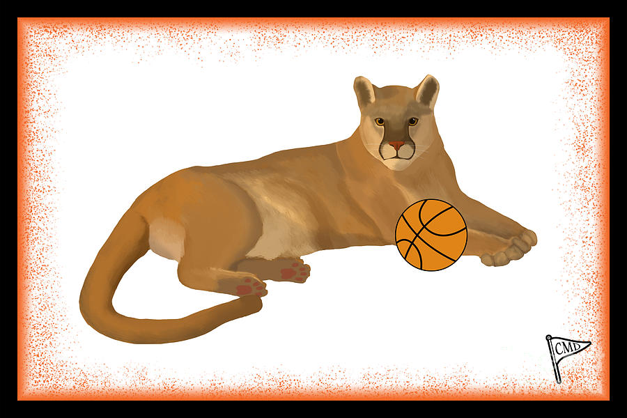 Basketball Court Digital Art by College Mascot Designs - Fine Art America