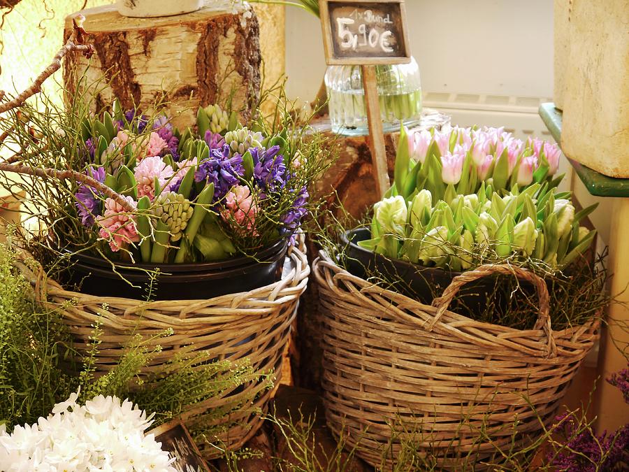 Baskets Of Spring Flowers On Sale In Florist Shop Photograph by Erika Reetz