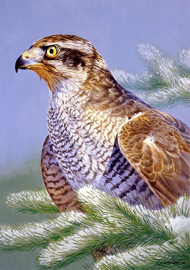 Hawk Painting - Basking by Joh Naito