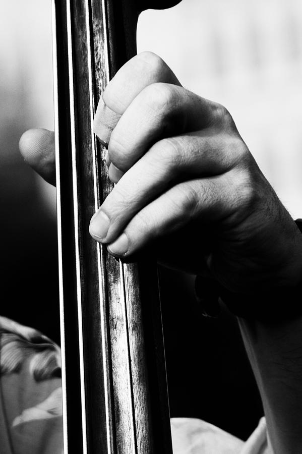 Bass Photograph by Emanuele Spano