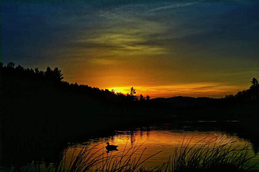 Bass Lake Sunrise Duck Photograph by Meta Gatschenberger