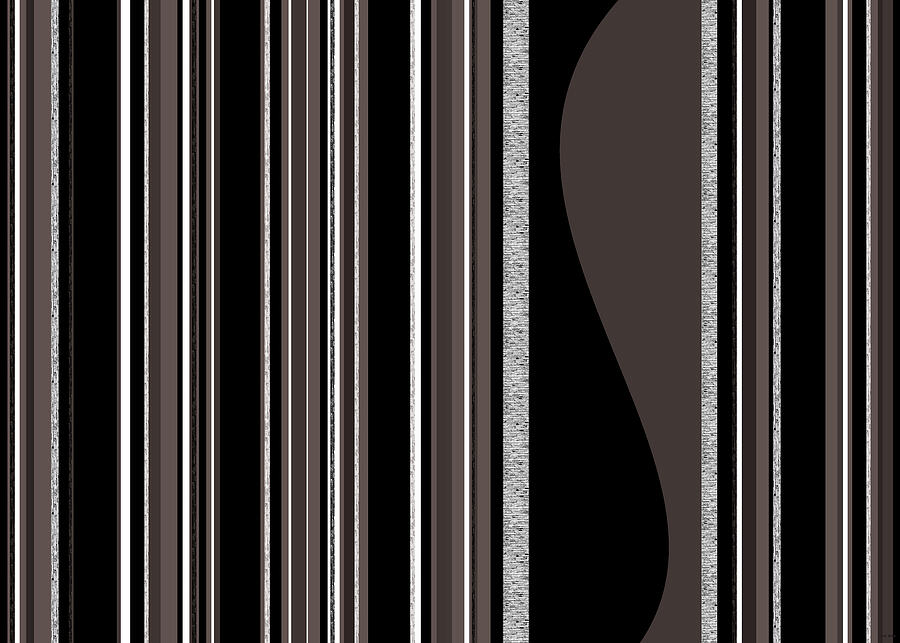 Bass Note - Random Stripes - Black and White Digital Art by Val Arie