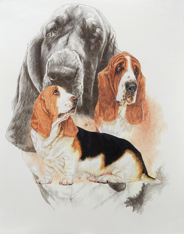 Dog Painting - Basset And Ghost by Barbara Keith