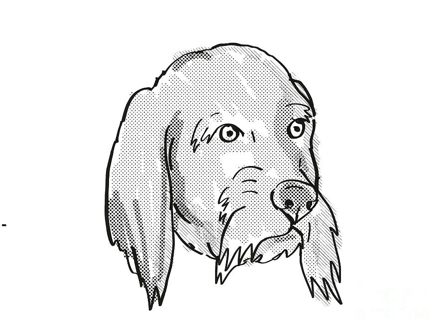 Basset Fauve De Bretagne Dog Breed Cartoon Retro Drawing Digital Art