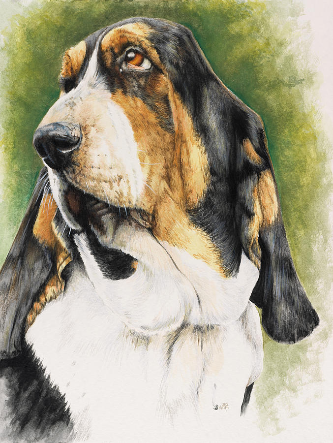 Dog Painting - Basset Hound by Barbara Keith