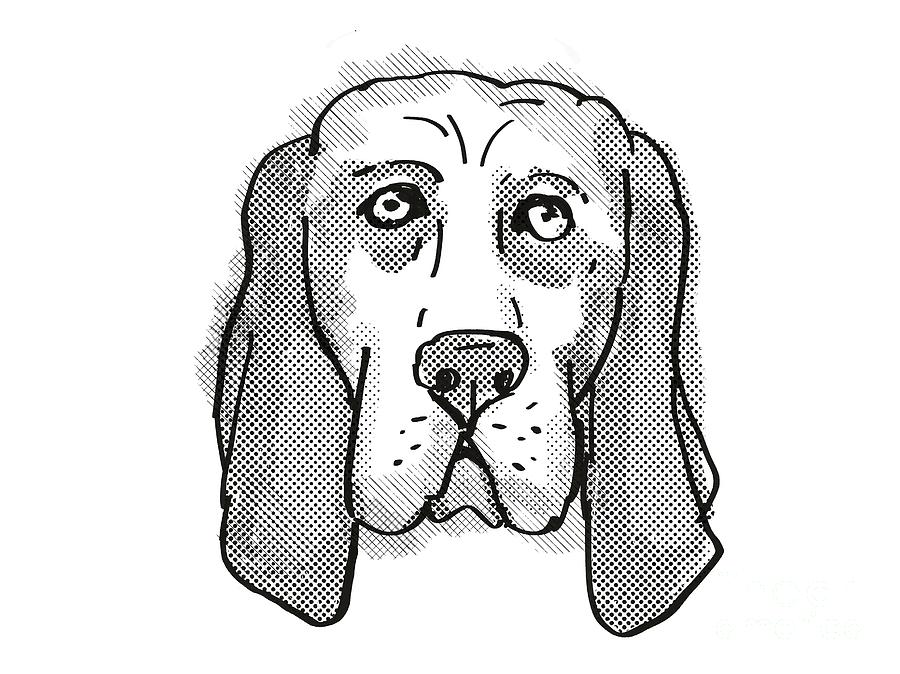 Basset Hound Dog Breed Cartoon Retro Drawing Digital Art by Aloysius  Patrimonio - Pixels