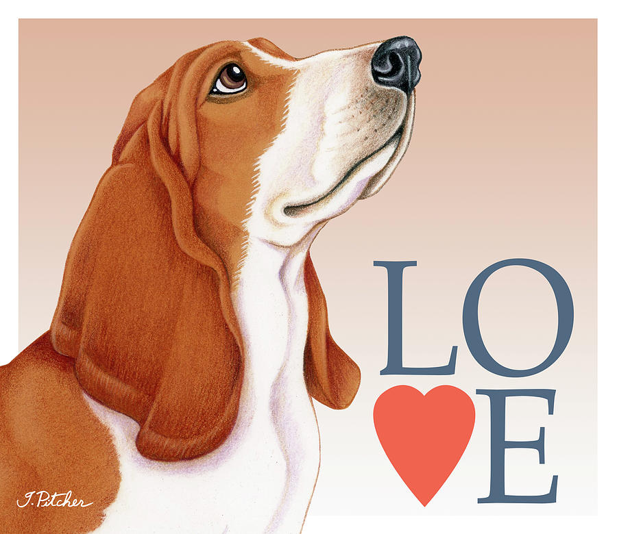 are basset hounds loving