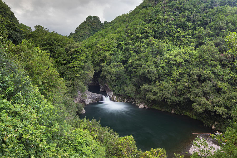 Bassin La Mer On The Riviere Des Roches, Reunion Photograph by David Noton / Naturepl.com Bassin La Mer On The Riviere Des Roches, Reunion Photograph by David Noton / Naturepl.com