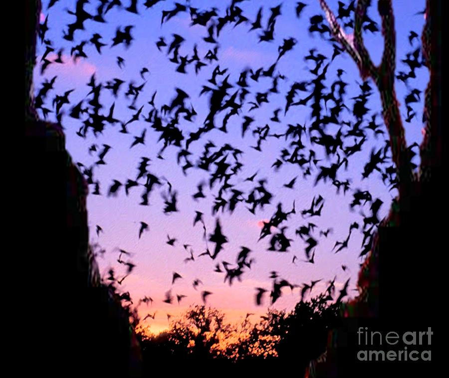 Bat Cave Digital Art By Belinda Threeths Fine Art America   Bat Cave Belinda Threeths 