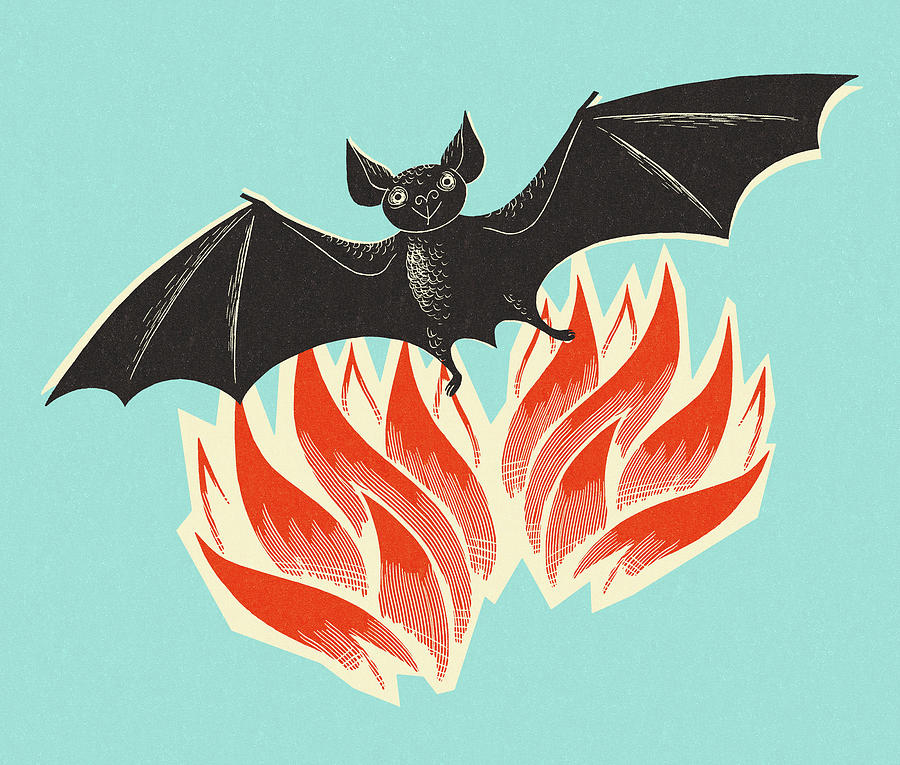 Halloween Drawing - Bat Flying Out of Flames by CSA Images