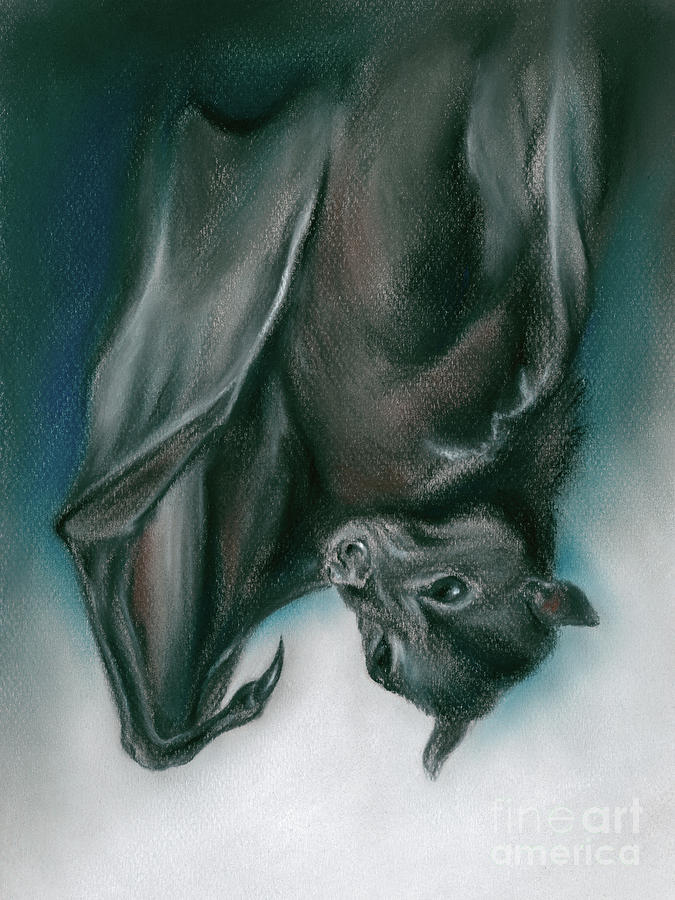 Bat Just Hanging Around Painting by MM Anderson