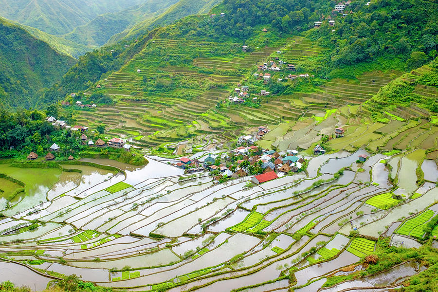 Batad Village Unesco World Heritage Rice Terraces, Banaue, Philippines ...