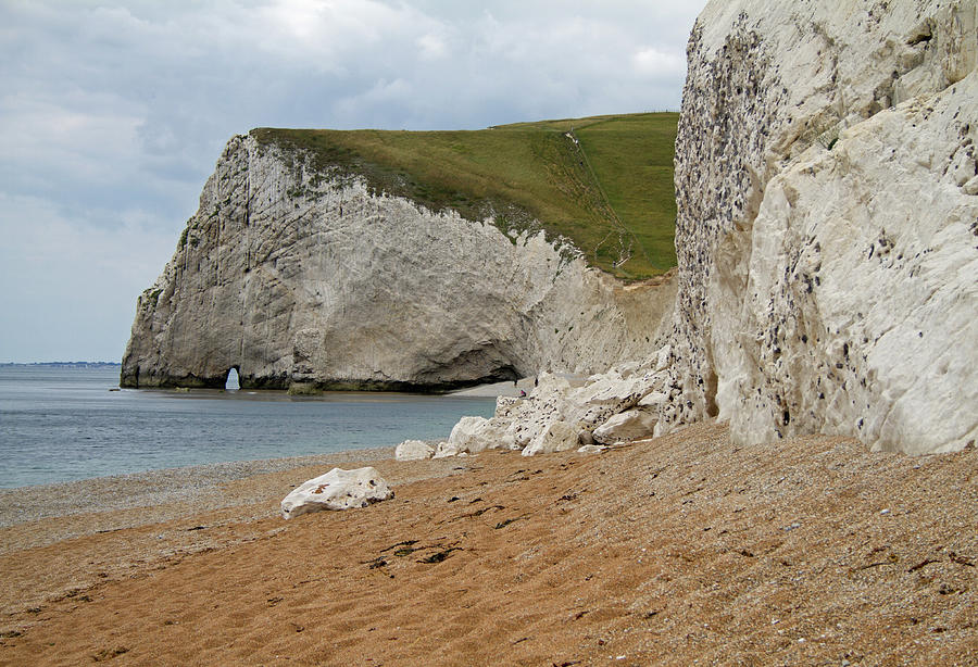 Bats Head From Durdle Door Photograph by Dr T J Martin