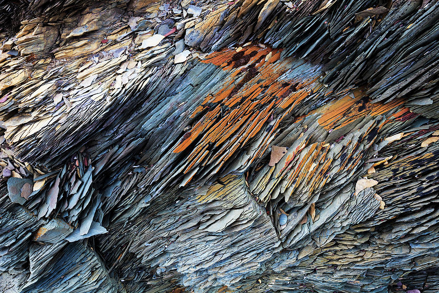 Batsfjord Rocks And Lichen Photograph by Heike Odermatt