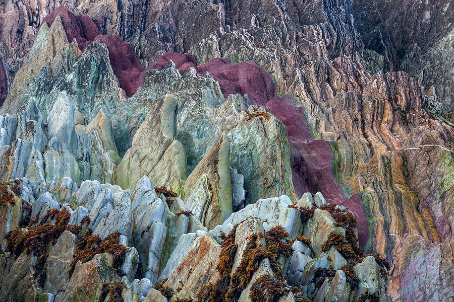 Batsfjord Sedimentary Rock Detail Photograph by Heike Odermatt