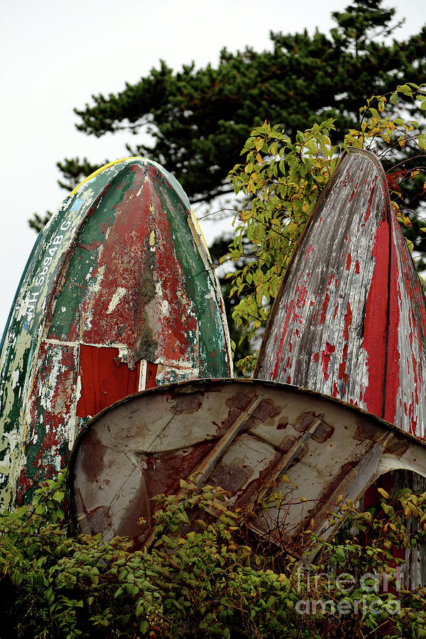Battered Boats Photograph by Terri Brewster