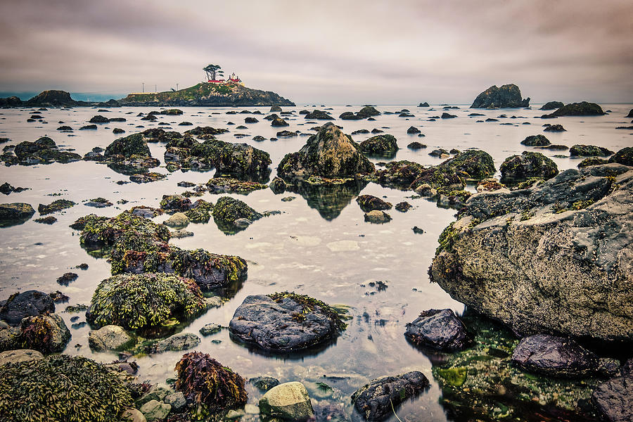 Battery Point Lighthouse Dusk #2 - California Photograph by Stuart Litoff