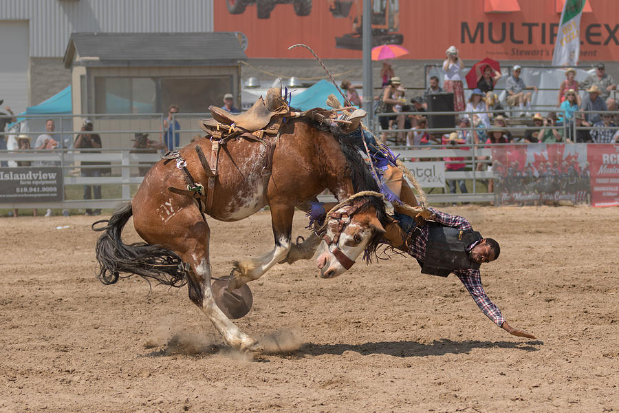 Rodeo Photograph - Battle by Henry Zhao