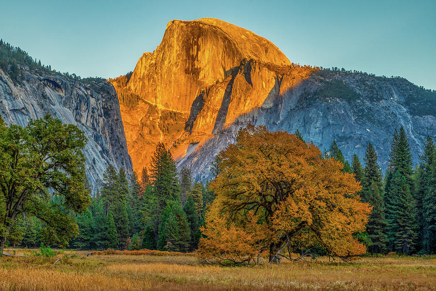 Yosemite National Park Photograph - Battle of the Orange by Peter Tellone