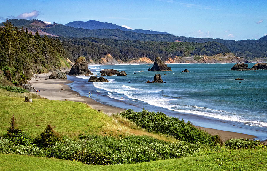 Battle Rock Park Beach Photograph by Carolyn Derstine