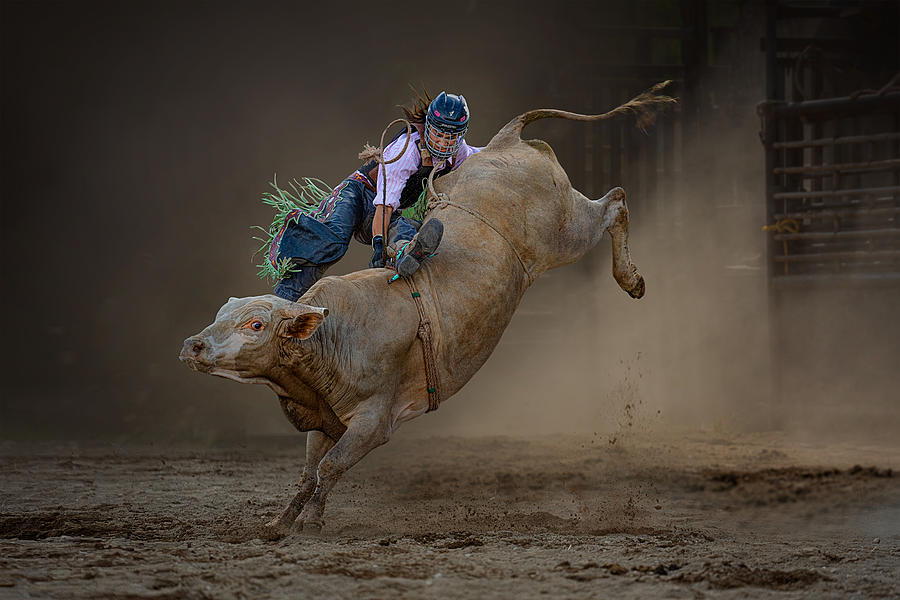 Battle With Bull Photograph by Lydia Jacobs - Fine Art America