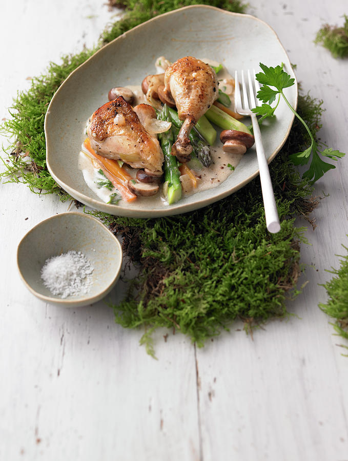 Bauer Chicken In Riesling With Baby Vegetables On Moss, Sea Salt In Small Bowl Photograph by Jalag / Jan-peter Westermann