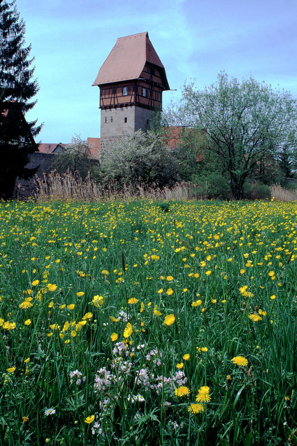 Architecture Photograph - Bauerlinsturm Tower With Flower Field by Panoramic Images