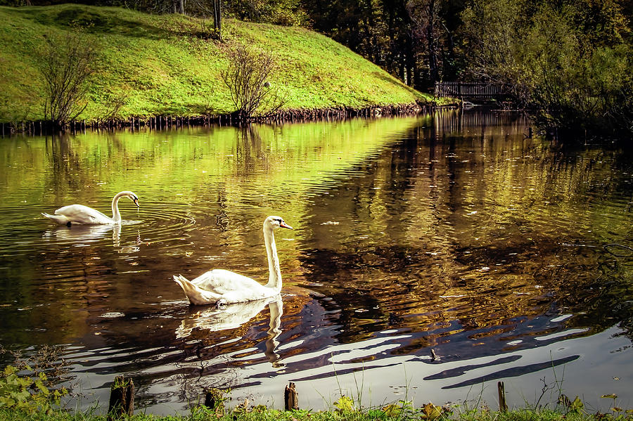 Bavarian Pond Photograph by Bill Chizek